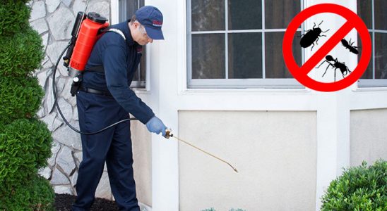 Uzundere Böcek İlaçlama böcek ilaçlama ve haşere kontrolü — ilaclama-tr.com